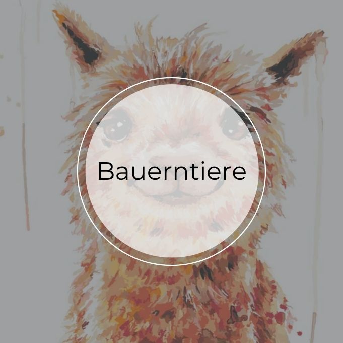 Malen Nach Zahlen Bauernhof-Tiere – Für Erwachsene & Kinder, 40x50 Cm, Mit Farben & Pinsel
