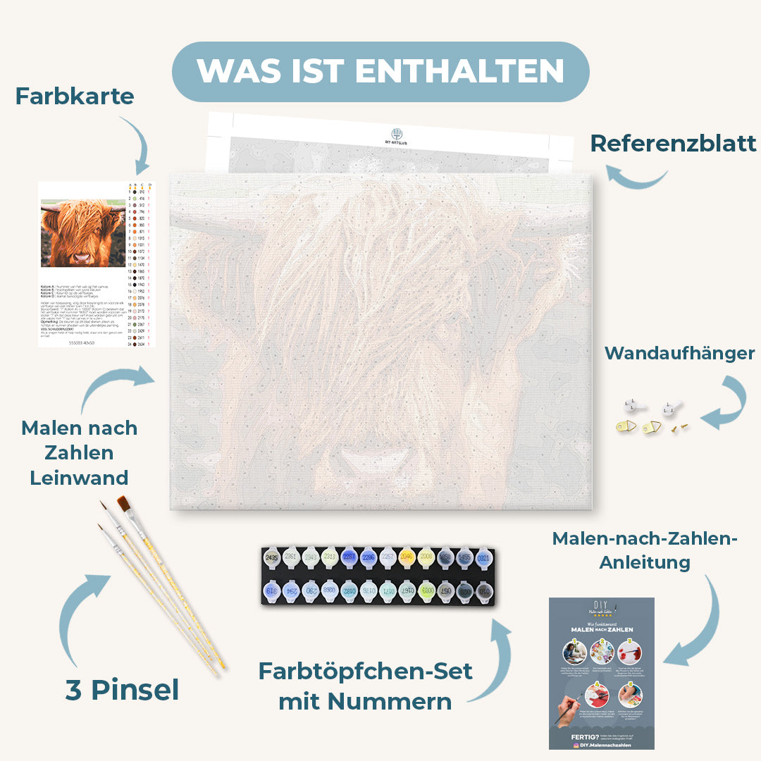 Malen Nach Zahlen Hochlandkuh – Leinwand 40,6x50,8 Cm Für Erwachsene & Kinder