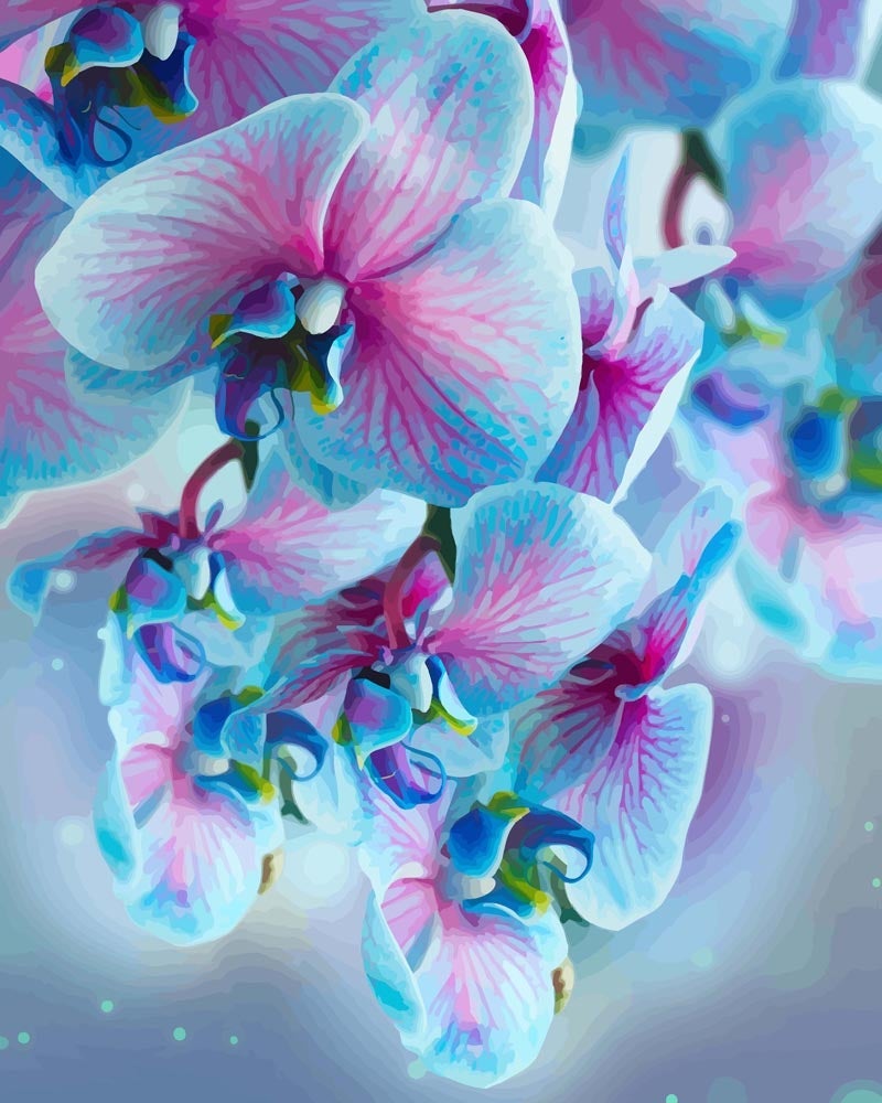 Malen nach Zahlen   Blaue Orchideen