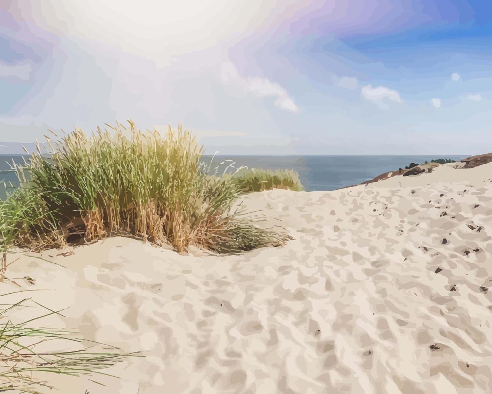 Malen nach Zahlen   Dünen am Sandstrand der Ostsee