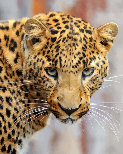 Malen nach Zahlen - Junger Leopard