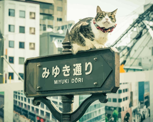 Malen nach Zahlen - Katze auf dem Schild - Japan