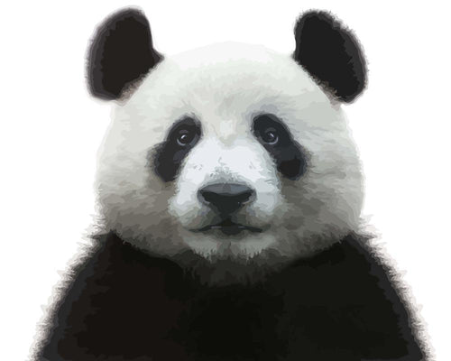 Malen nach Zahlen - Panda Gesicht