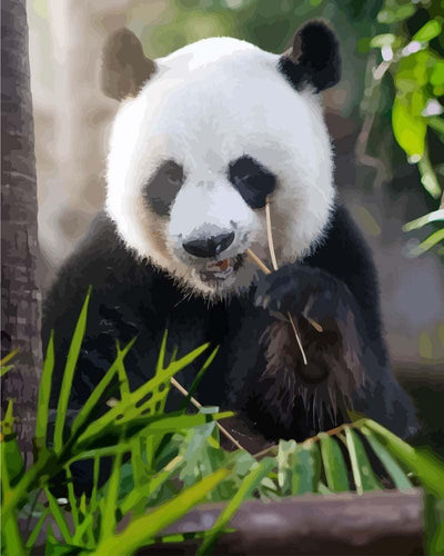 Malen nach Zahlen - Panda am essen