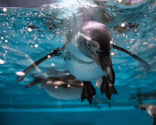 Malen nach Zahlen - Pinguin taucht ins Wasser