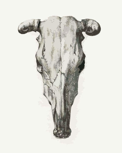 Malen nach Zahlen -Schädel einer Kuh von Jean Bernard