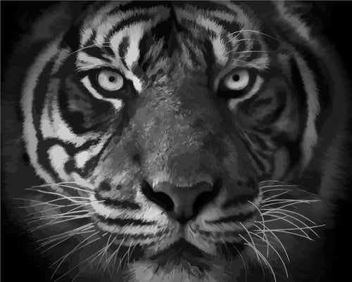 Malen nach Zahlen - Tigerportrait - Beast