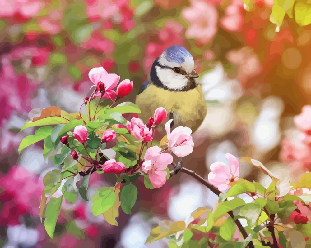 Malen nach Zahlen   Vogel im Frühling