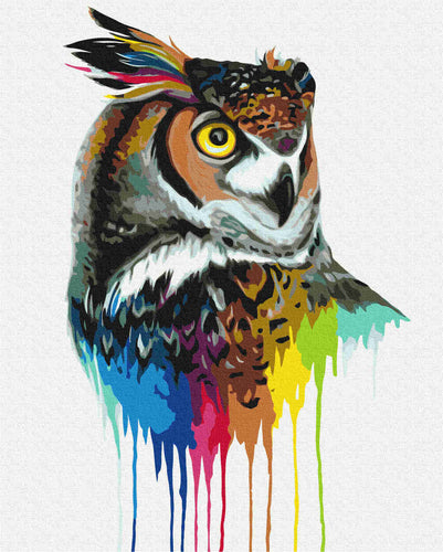 Malen nach Zahlen - owl - by Pixie Cold