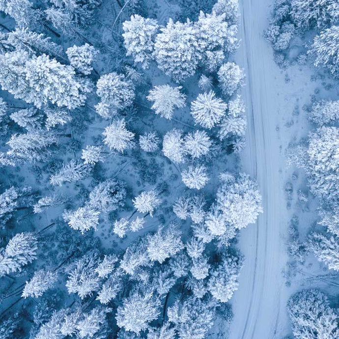 Malen nach Zahlen - Winter - Wo bleibst du