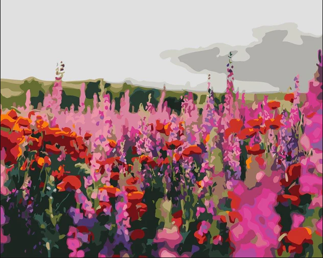 Malen nach Zahlen Mohnblumen
