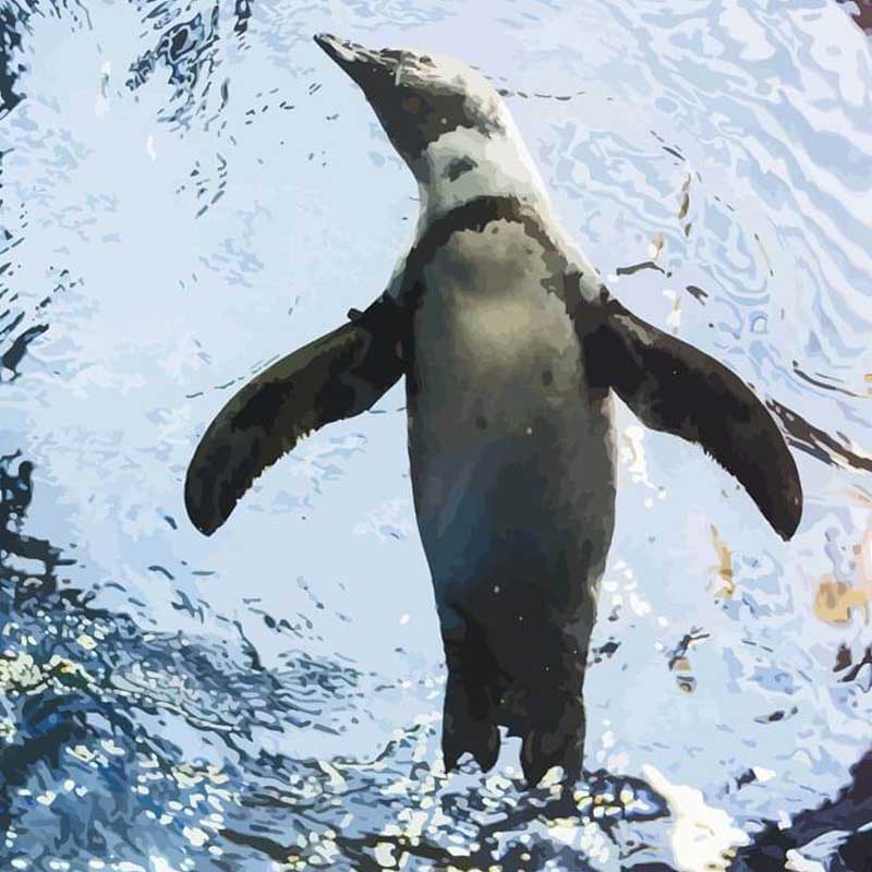 Malen nach Zahlen Pinguin