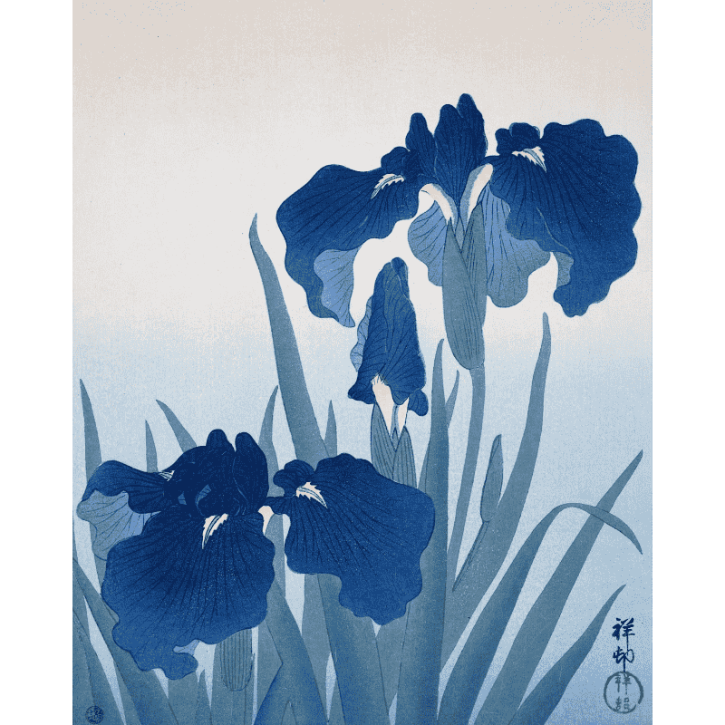 Malen nach Zahlen   Schwertlilien   Ohara Koson