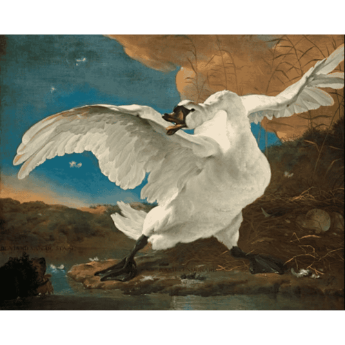 Malen nach Zahlen - Der bedrohte Schwan - Jan Asselijn