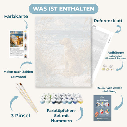 Malen nach Zahlen - Wartender Labrador