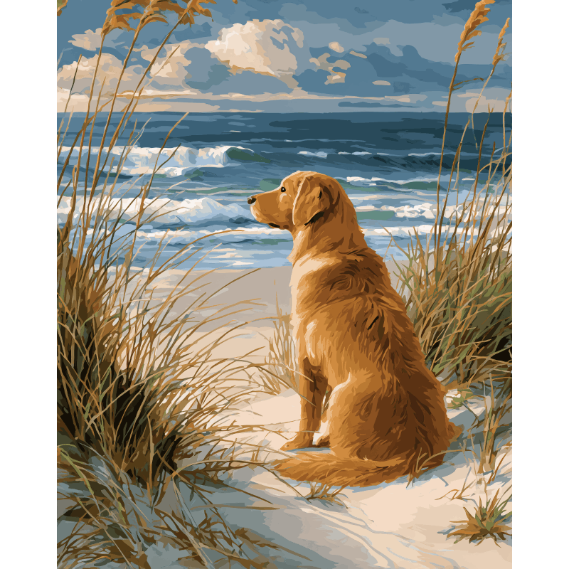 Malen nach Zahlen - Wartender Labrador-Malen nach zahlen