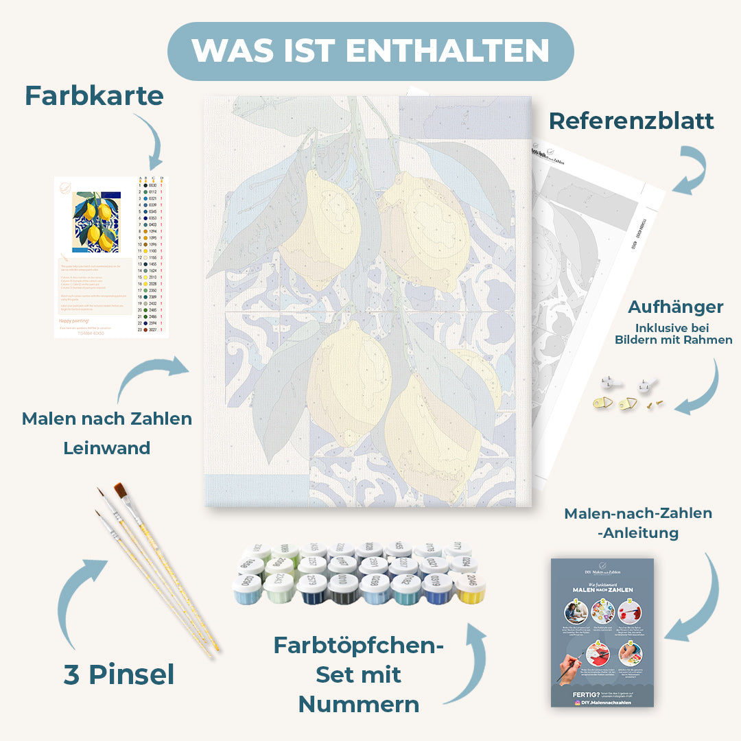 Malen nach Zahlen - Mediterrane Zitrusfrüchte