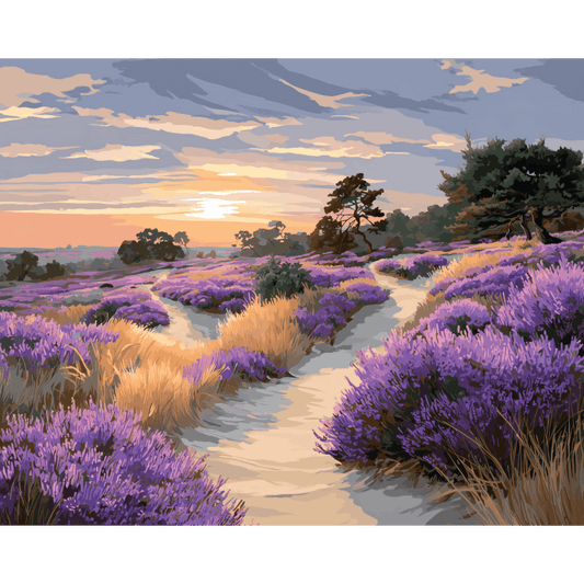 Malen nach Zahlen - Nationalpark Veluwe - Malen nach Zahlen