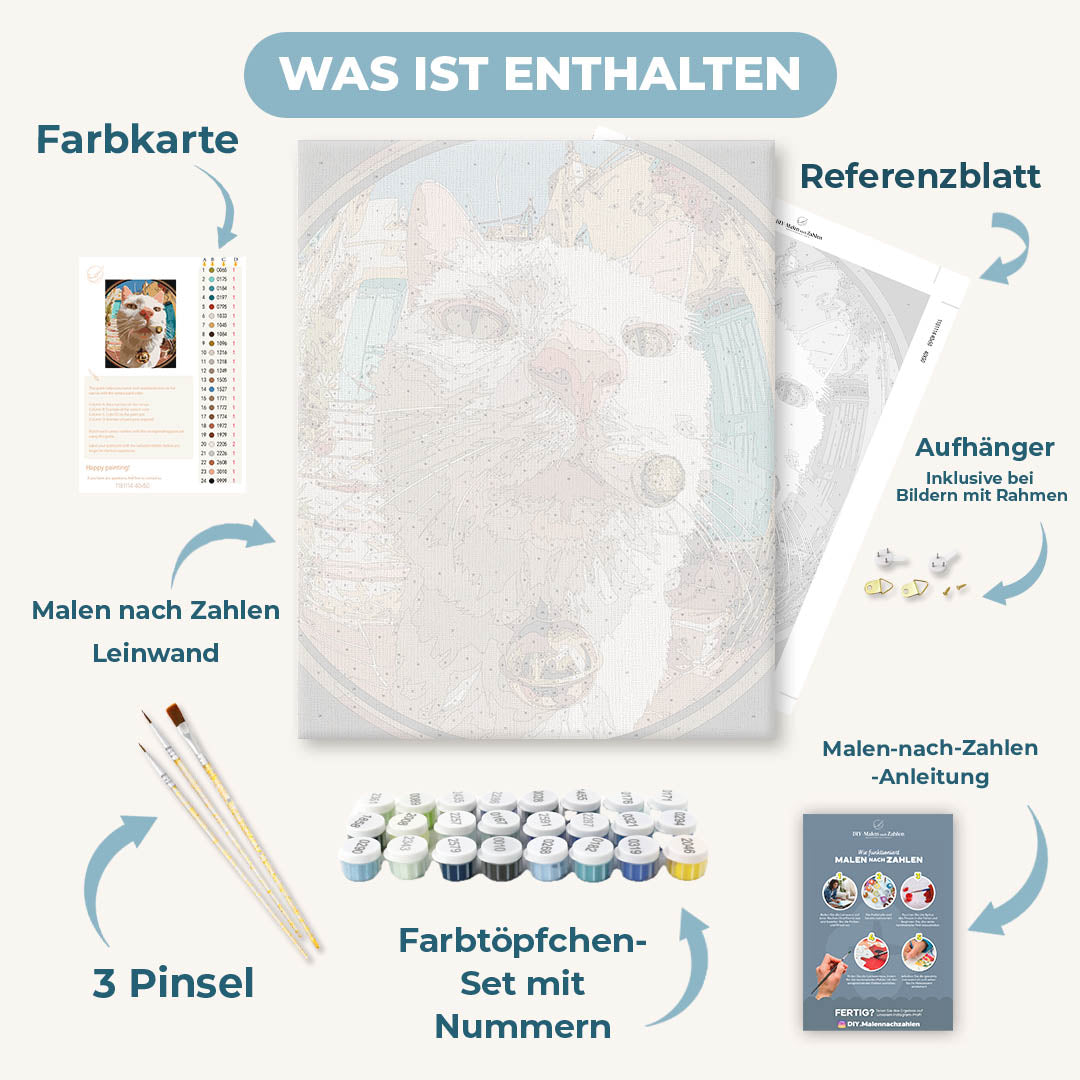 Malen nach Zahlen - Katze aus der Fischaugen-Perspektive