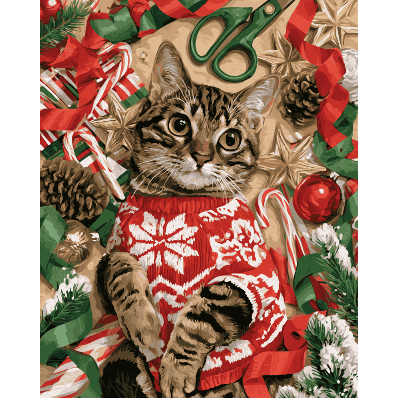 Malen nach Zahlen - Katze im Weihnachtspullover