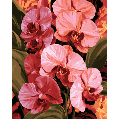 Malen nach Zahlen - Zartrosa Orchidee