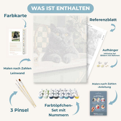 Malen nach Zahlen - Katze am Waschbecken