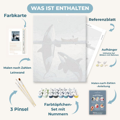Malen nach Zahlen - Orcas im Mondlicht