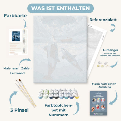 Malen nach Zahlen - Rudern zwischen Orcas