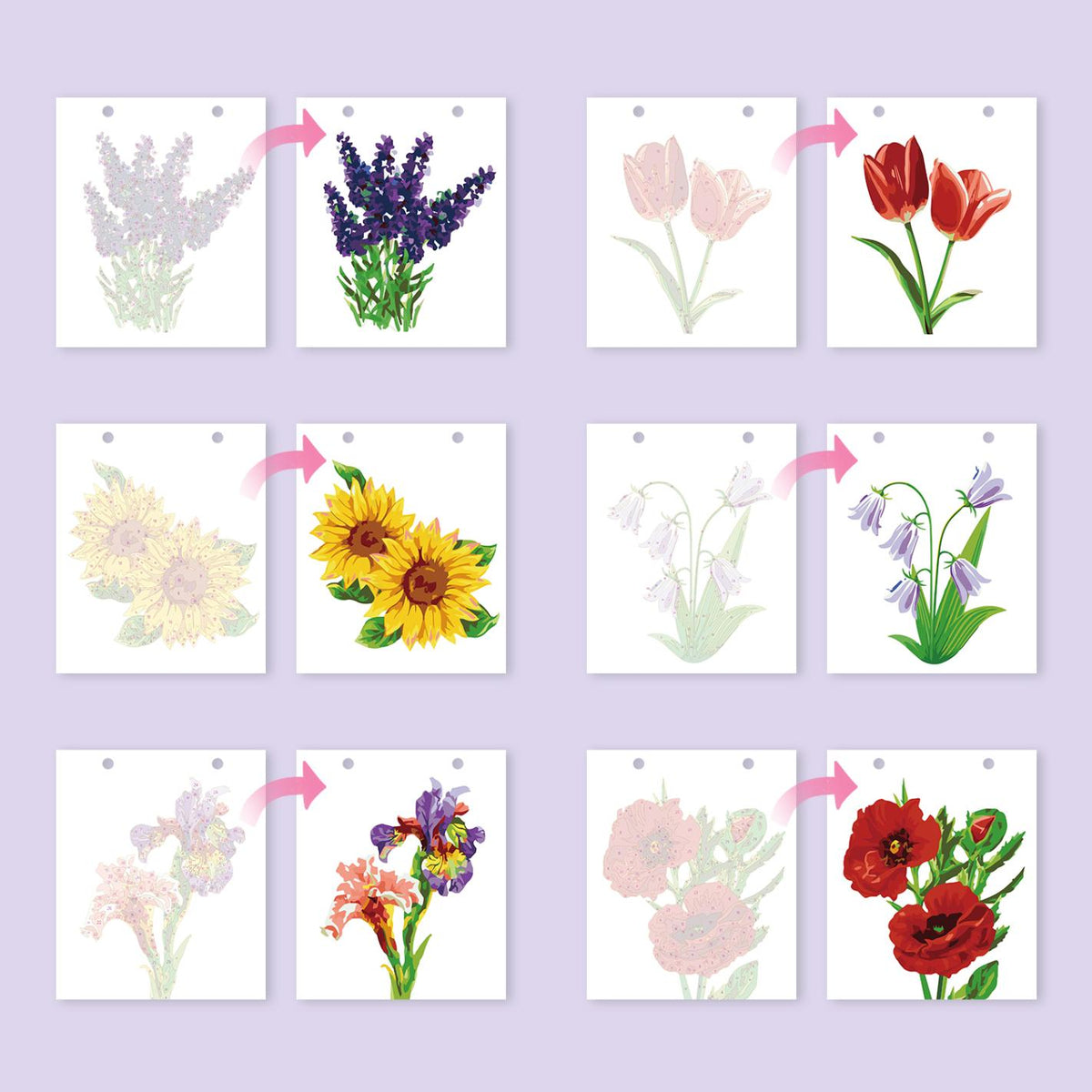 2027 Malen nach Zahlen Tischkalender | Blumen-Edition