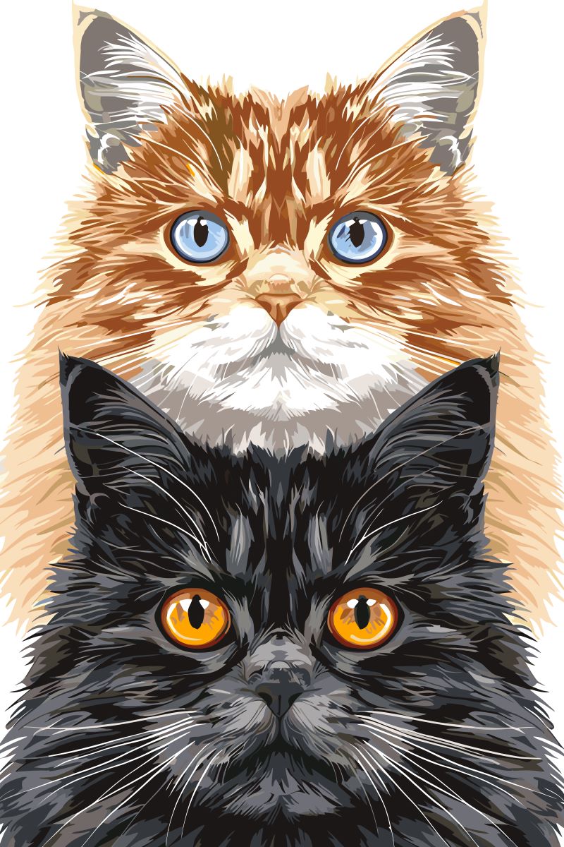 Malen nach Zahlen   Malen nach Zahlen   Cat Duo   Premium Painting