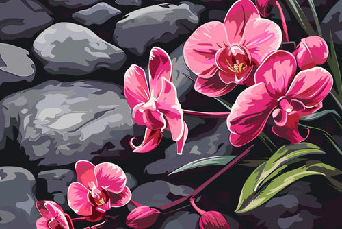 Malen nach Zahlen - Malen nach Zahlen - Orchidee mit Zen Steinen - Premium Painting