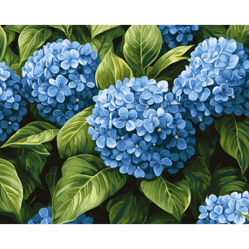 Malen nach Zahlen - Malen nach Zahlen - Blaue Hortensienblüten