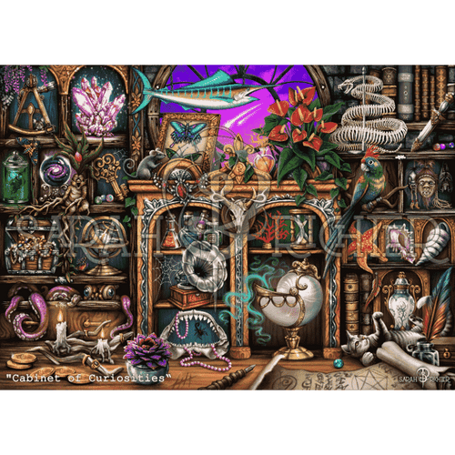 Malen nach Zahlen - Cabinet of Curiosities - by Sarah Richter