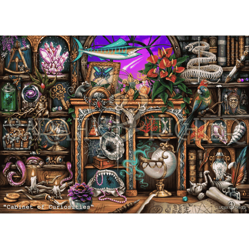 Malen nach Zahlen   Cabinet of Curiosities   by Sarah Richter
