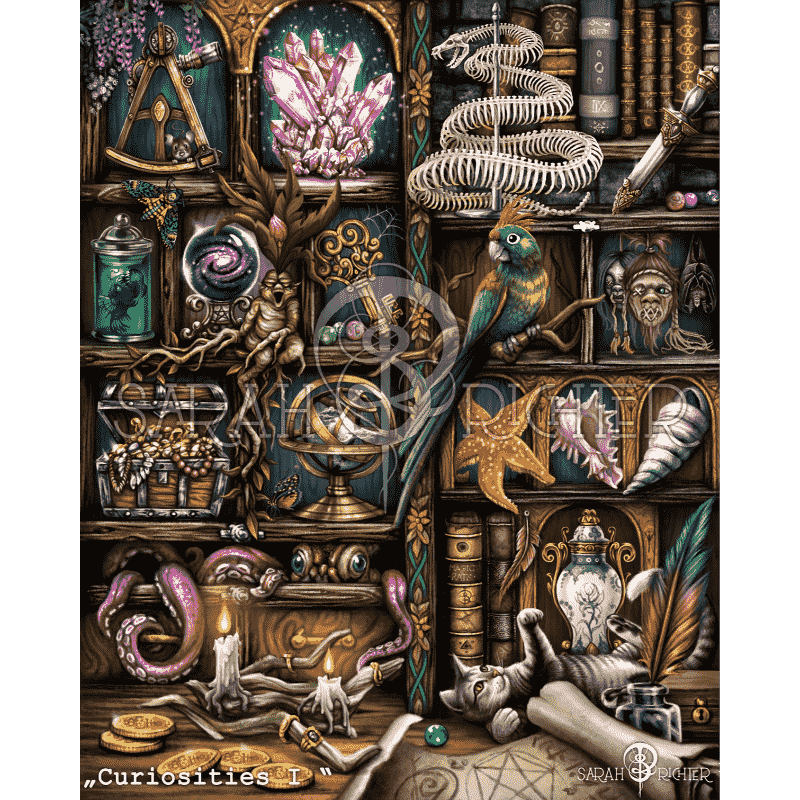 Malen nach Zahlen   Curiosities I   by Sarah Richter