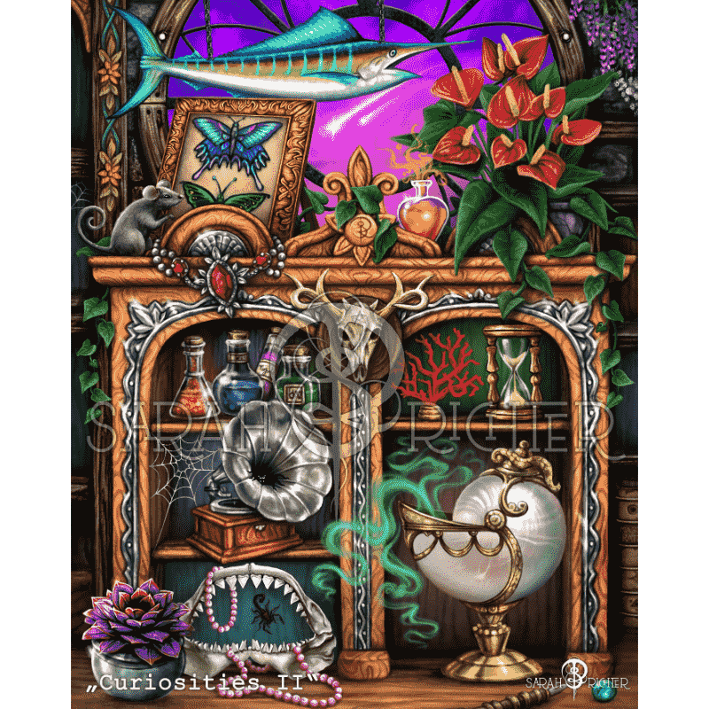 Malen nach Zahlen   Curiosities II   by Sarah Richter