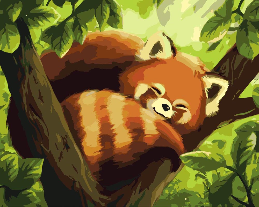 Malen nach Zahlen Roter Panda by vink