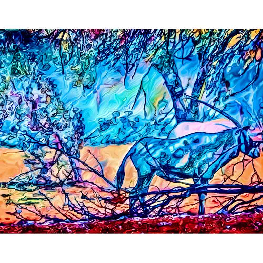 Malen nach Zahlen - Malen nach Zahlen - Auf Fotosafari (Namibia) - Artist's Edition - by zamart