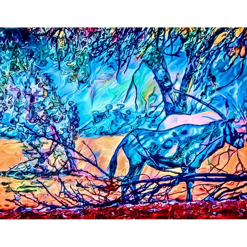 Malen nach Zahlen - Malen nach Zahlen - Auf Fotosafari (Namibia) - Artist's Edition - by zamart