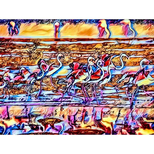 Malen nach Zahlen - Malen nach Zahlen - Unterwegs in Namibia - Artist's Edition - by zamart