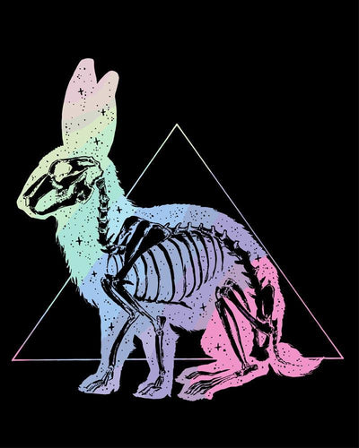 Malen nach Zahlen - Malen nach Zahlen - Röntgenaufnahme Hase - by Pixie Cold