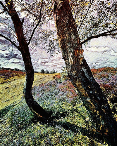 Malen nach Zahlen - Malen nach Zahlen - Die Heide blüht - by zamart