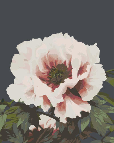 Malen nach Zahlen - Malen nach Zahlen - Beautiful photomechanical prints of (1887–1897) von Ogawa Kazumasa