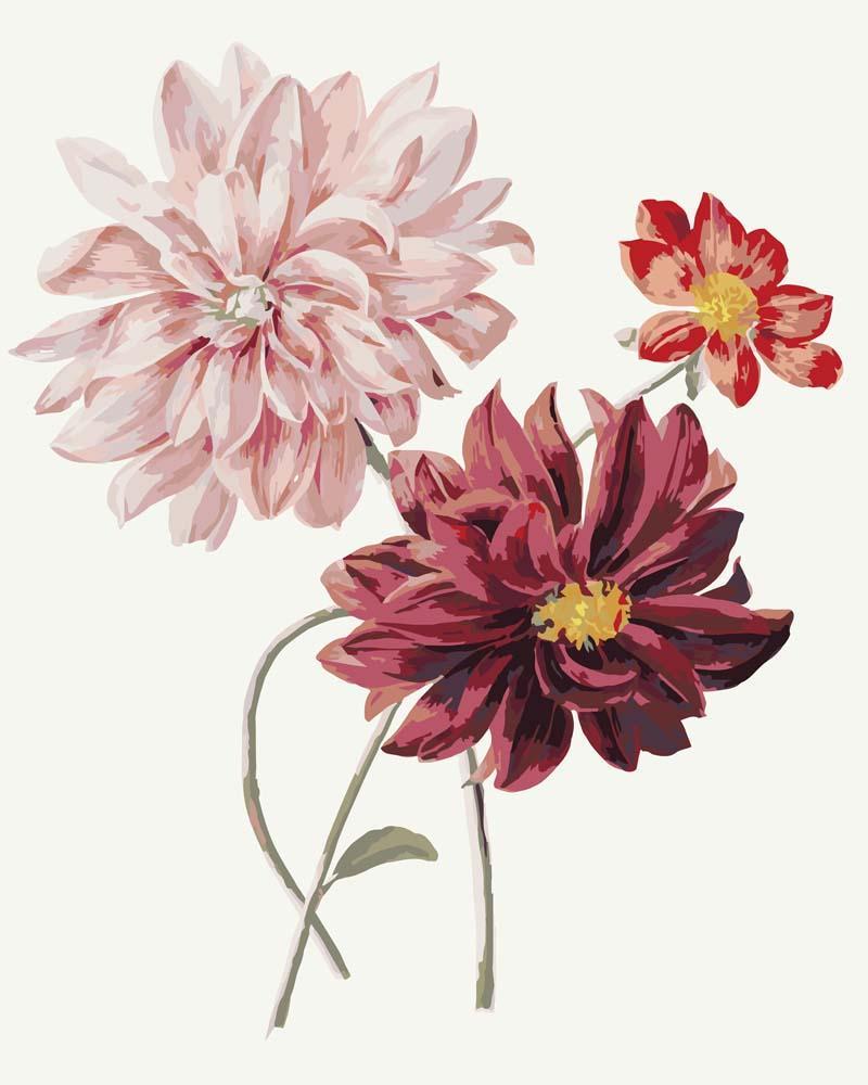 Malen nach Zahlen   Malen nach Zahlen   Dahlias by Willem Hekking