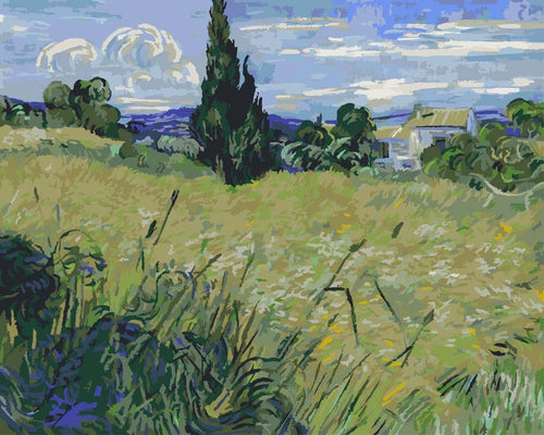 Malen nach Zahlen - Malen nach Zahlen - Grünes Weizenfeld mit Zypresse - Vincent van Gogh