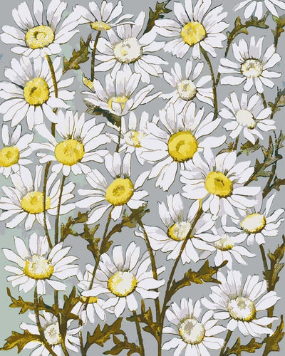 Malen nach Zahlen - Malen nach Zahlen - Karte mit Blumen auf blauem Hintergrund von L. Prang _ Co