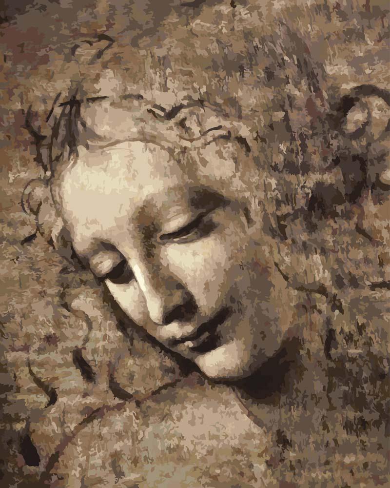 Malen nach Zahlen   Malen nach Zahlen   La Scapigliata   Leonardo da Vinci