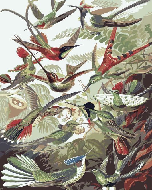 Malen nach Zahlen - Malen nach Zahlen - Trochilidae–Kolibris von Ernst Haeckel