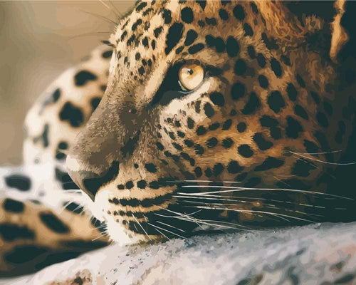 Malen nach Zahlen - Malen nach Zahlen - Leopardengesicht