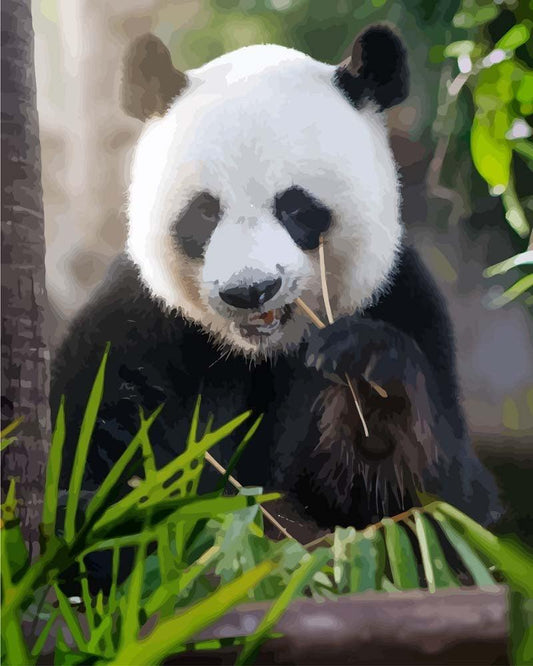 Malen nach Zahlen - Malen nach Zahlen - Panda am essen